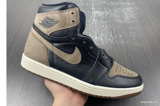 Jordan DZ5485-020 Retro  High Palomino 1  DZ5485-020 OG  0225